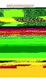 Трусы женские 059005230 оптом. Трусы женские 059005230 оптом.