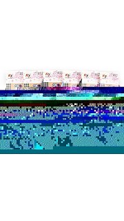 Носки 073001086 оптом. Носки 073001086 оптом.