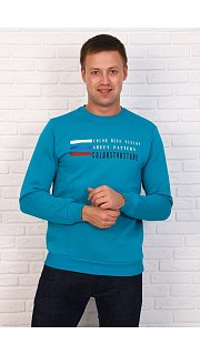 Свитшот мужской 096700053 оптом. Свитшот мужской 096700053 оптом.