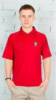 Футболка-поло 097000319 оптом. Футболка-поло 097000319 оптом.