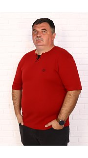 Футболка мужская 097201994 оптом. Футболка мужская 097201994 оптом.