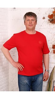 Футболка мужская 097202070 оптом. Футболка мужская 097202070 оптом.