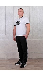 Брюки мужские 099100403 оптом. Брюки мужские 099100403 оптом.