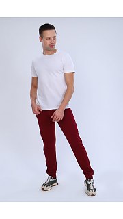 Брюки мужские 099100489 оптом. Брюки мужские 099100489 оптом.