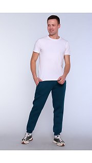 Брюки мужские 099100490 оптом. Брюки мужские 099100490 оптом.